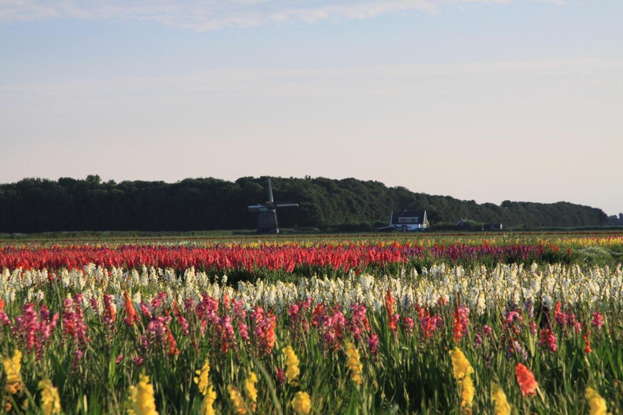 Oudesluis Landgoed Swaensborghアパートメント エクステリア 写真