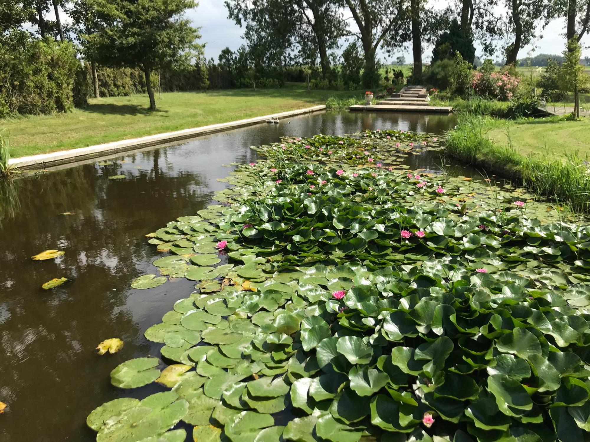Oudesluis Landgoed Swaensborghアパートメント エクステリア 写真